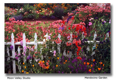 Mendocino Garden