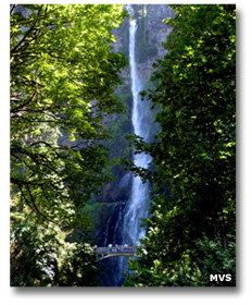 Columbia River Gorge Waterfall